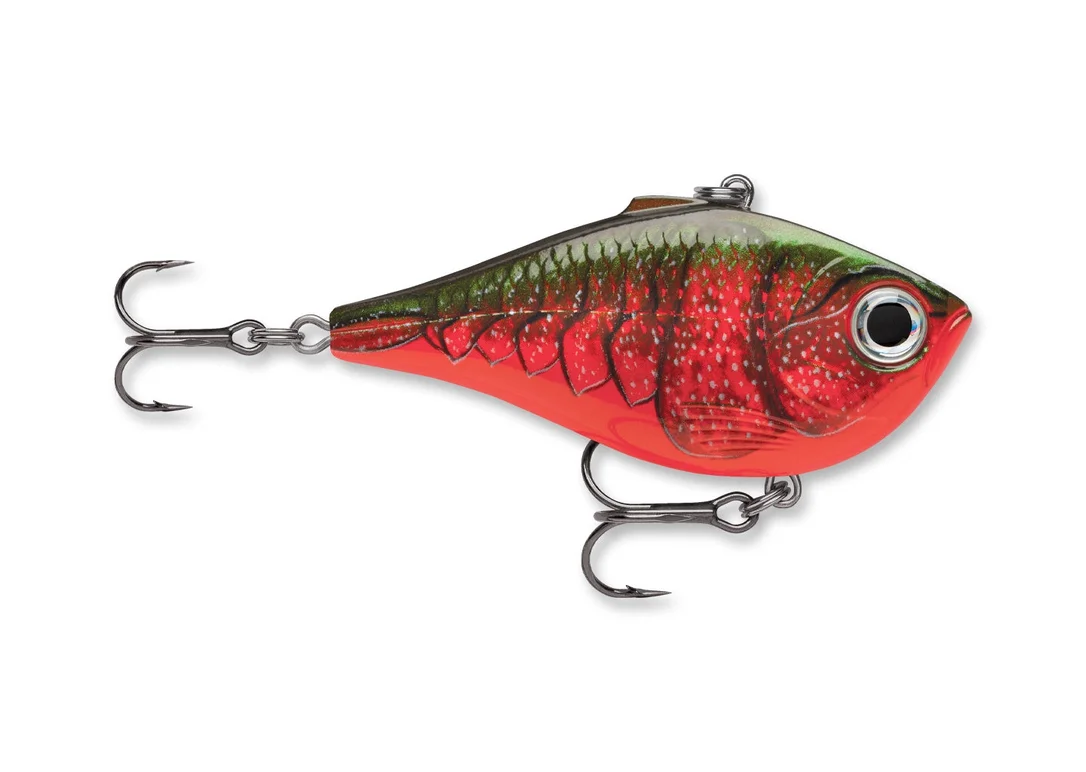 charliesfishing405766