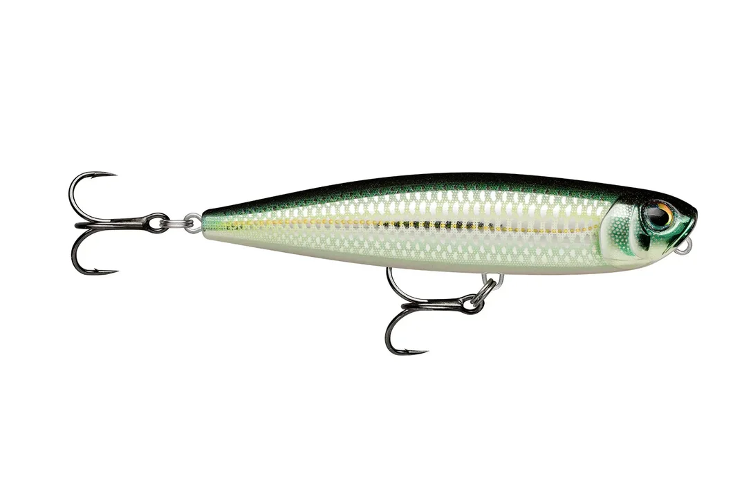 charliesfishing406009