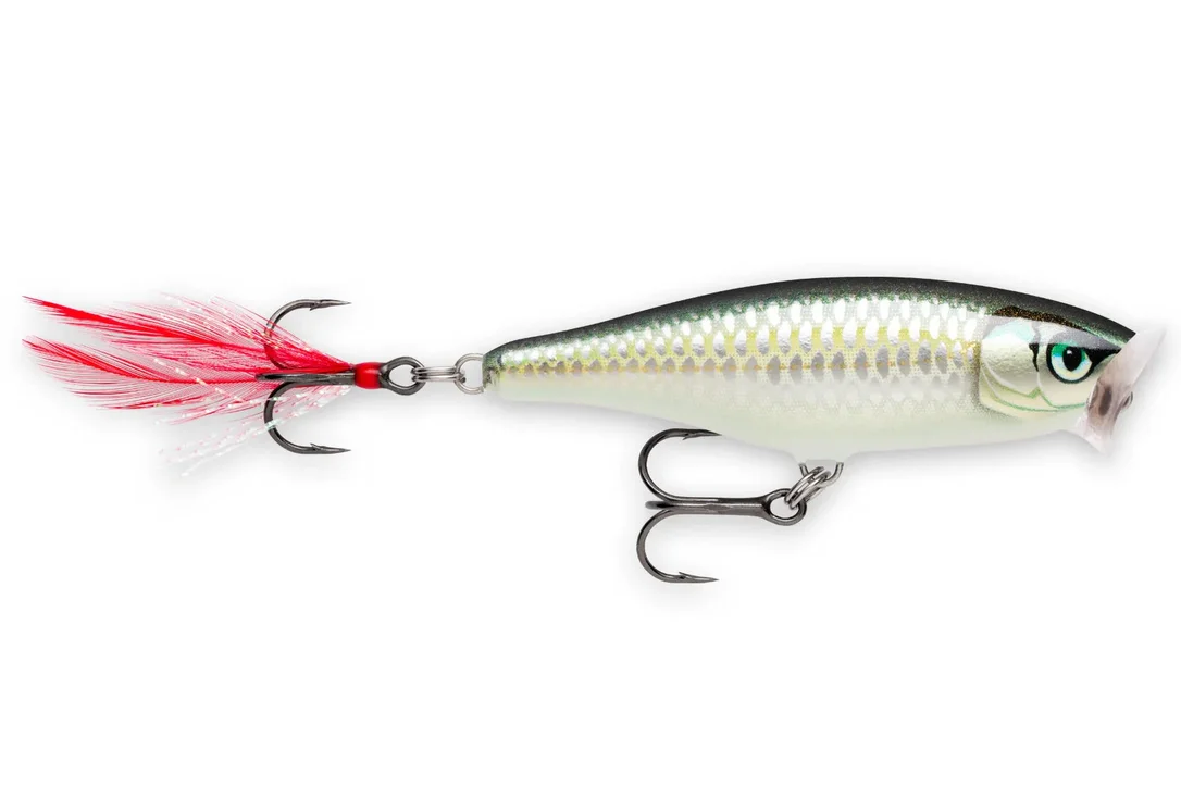 charliesfishing407420