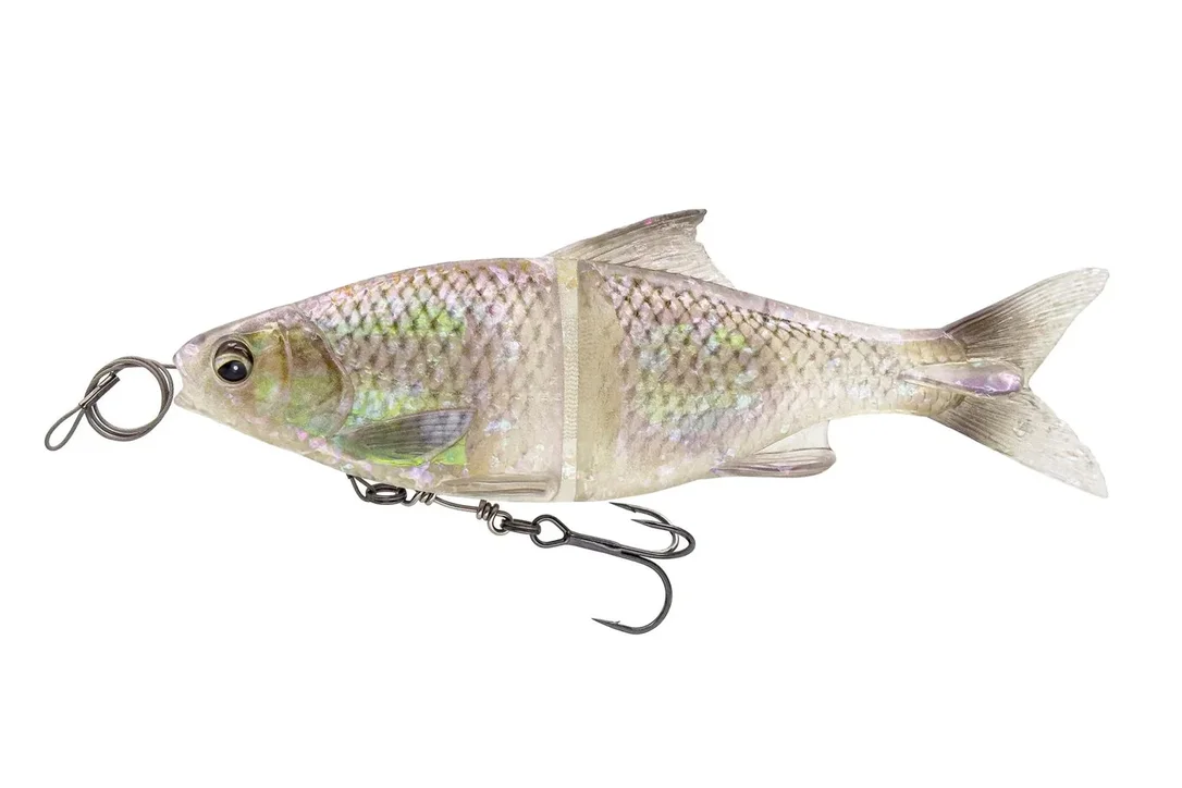 charliesfishing408188