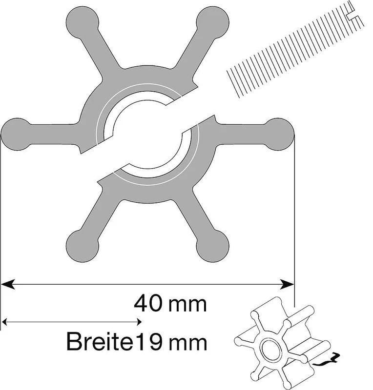 compass24413201