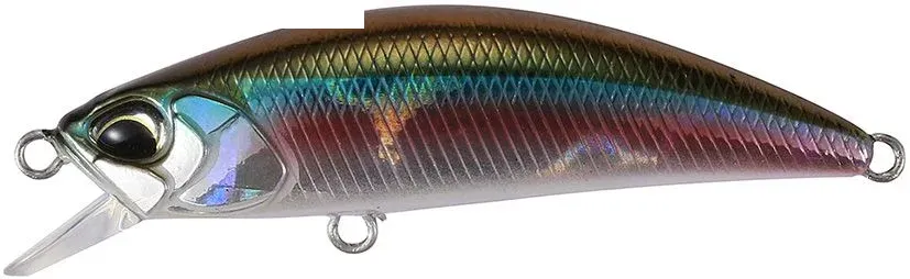 franz-geht-fischen358786