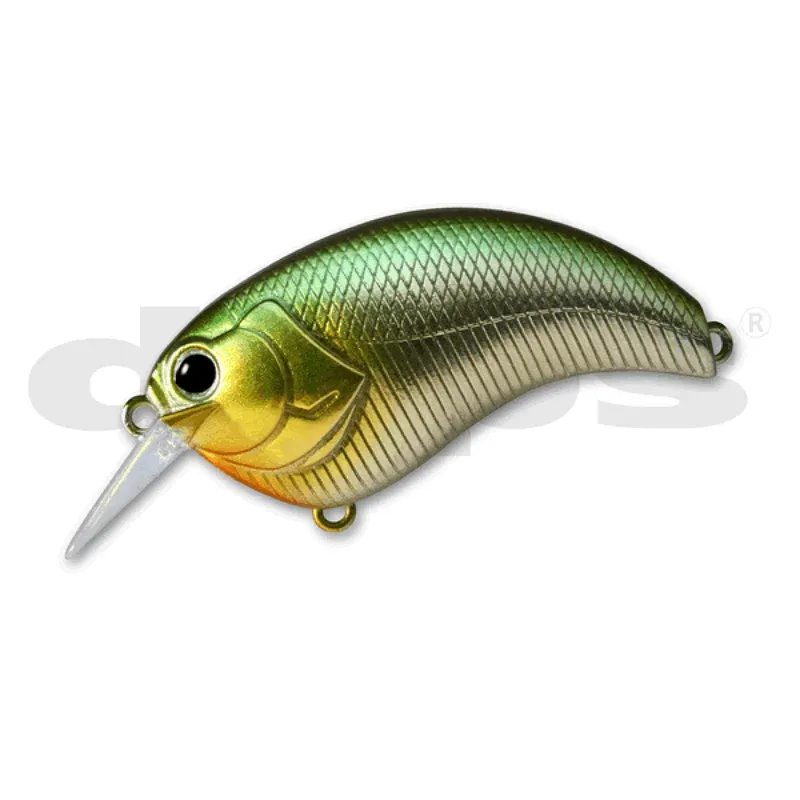 franz-geht-fischen379134