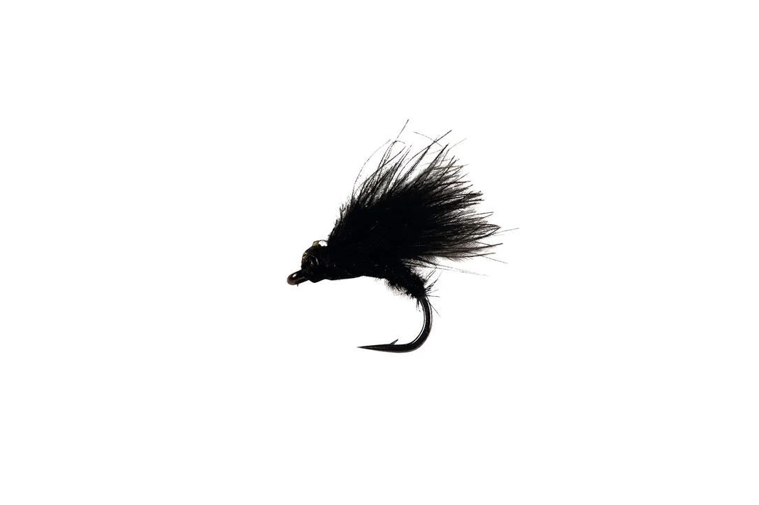 funfish375971