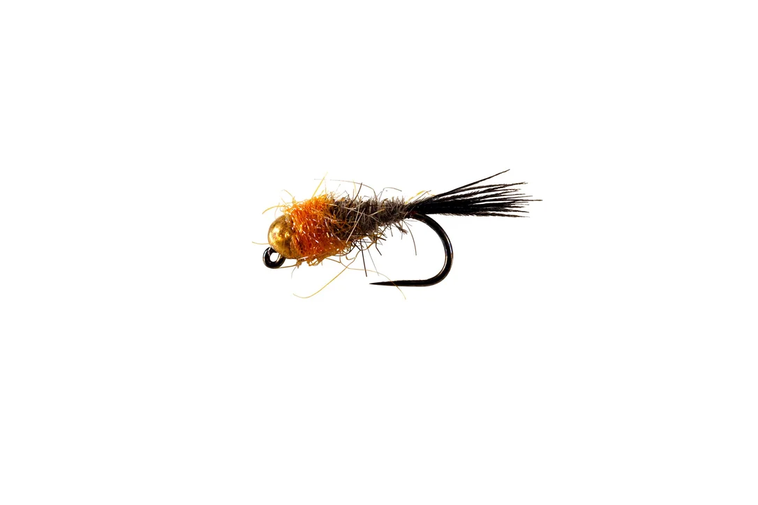 funfish378332