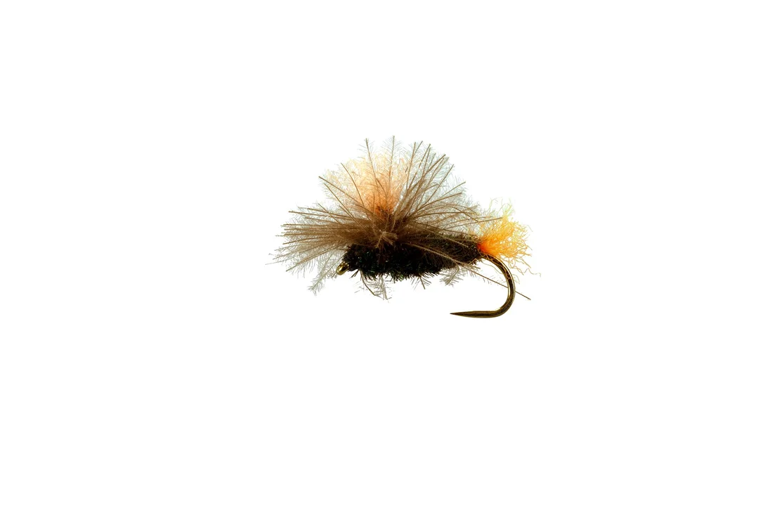 funfish378429