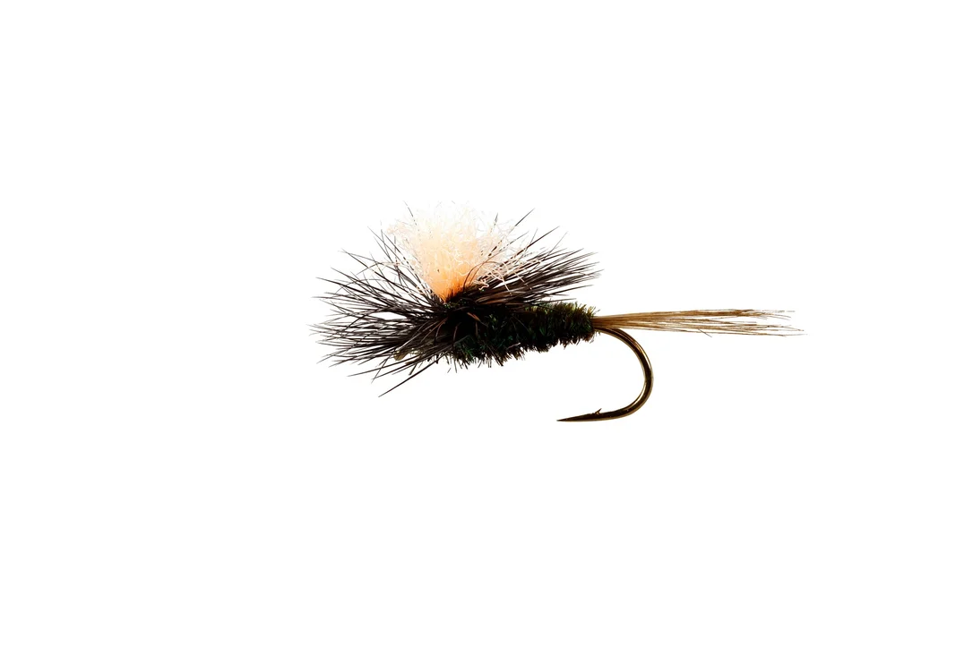 funfish378453