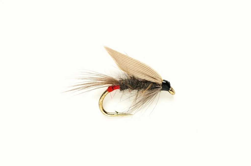 funfish401378