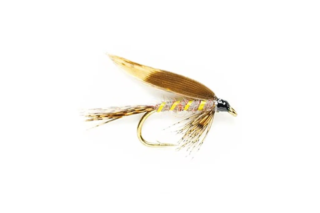 funfish401402