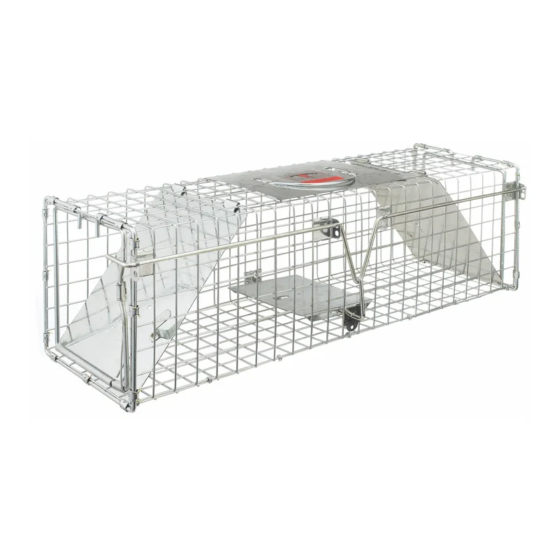 hauptner-jagd378349