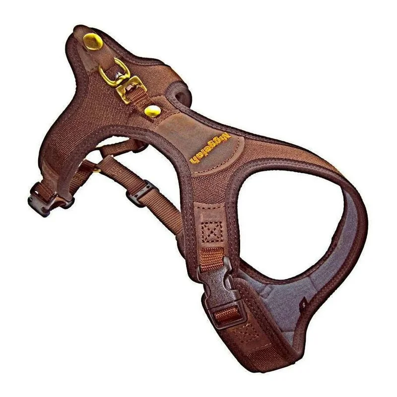 hauptner-jagd393762