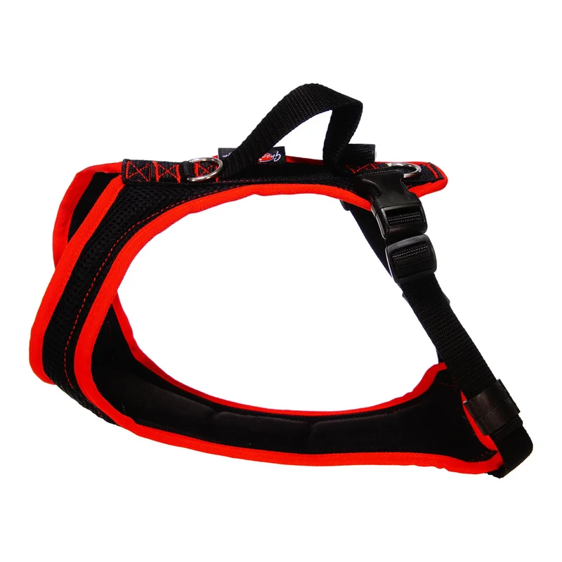 hauptner-jagd395849