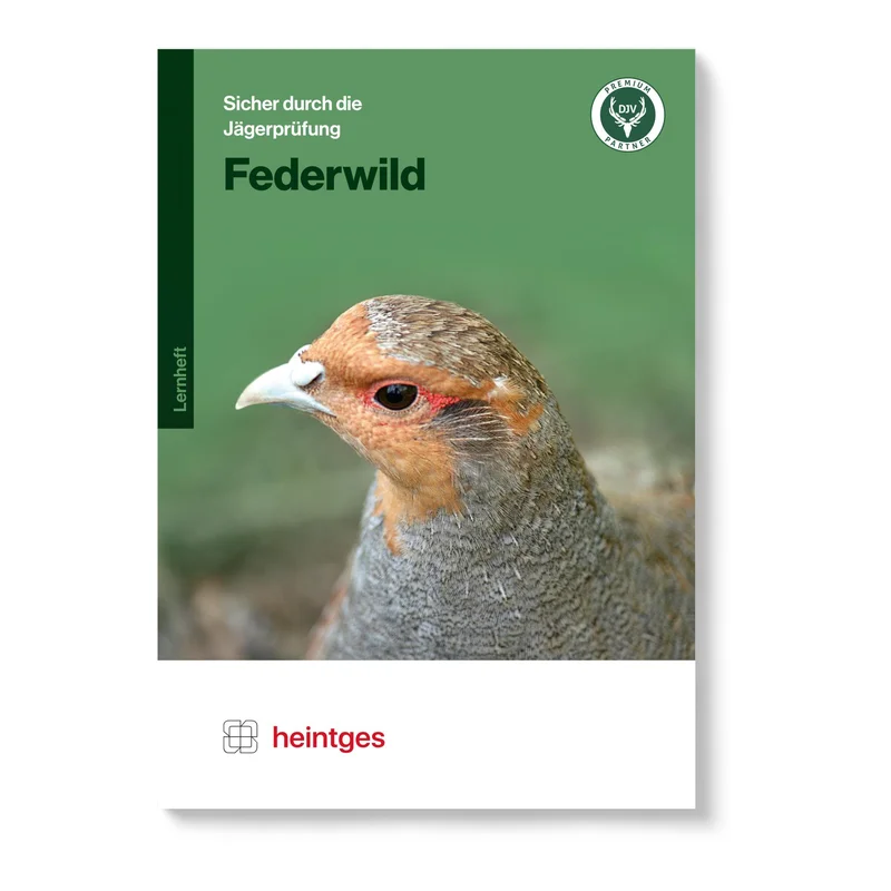 hauptner-jagd405268
