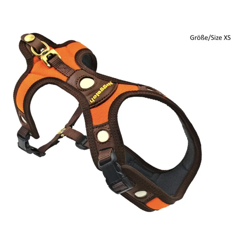 hauptner-jagd434885