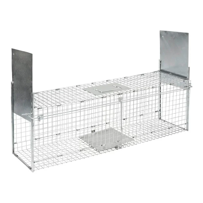 hauptner-jagd444577