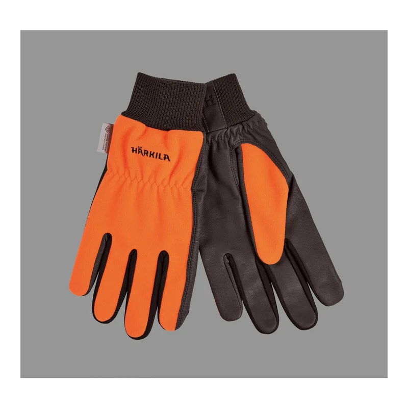 hauptner-jagd446170