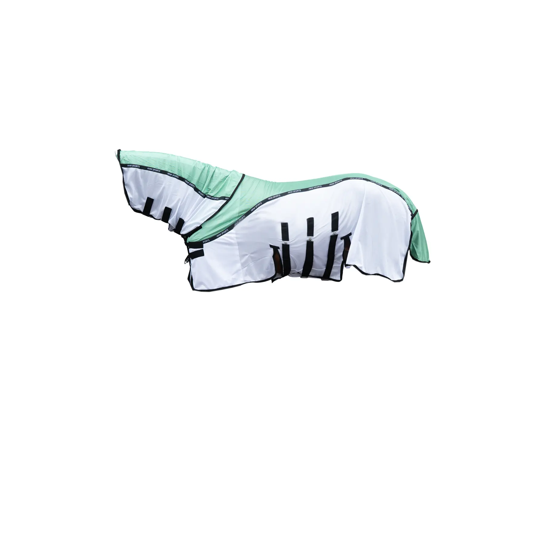 sportisgood1030172