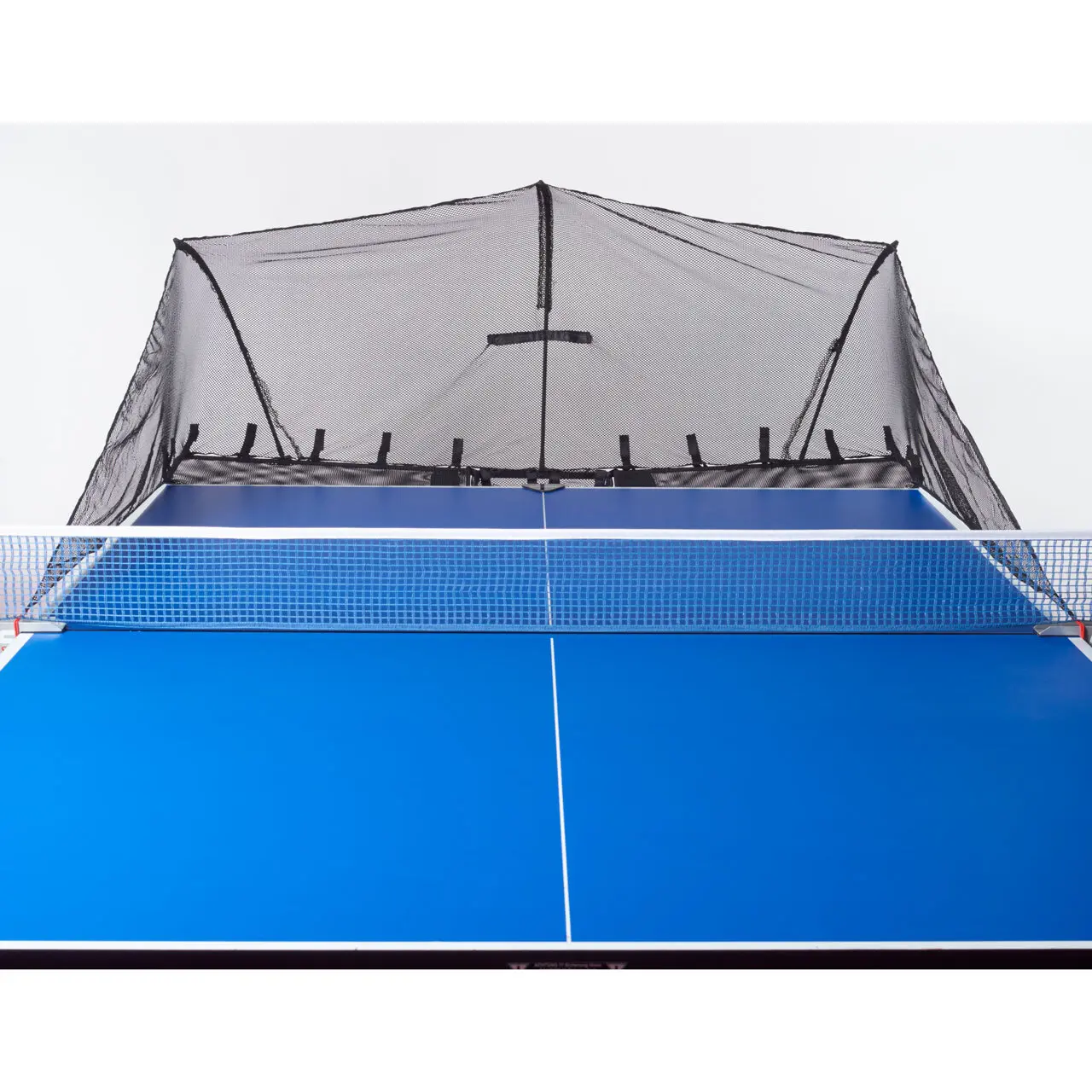 sportisgood1089461