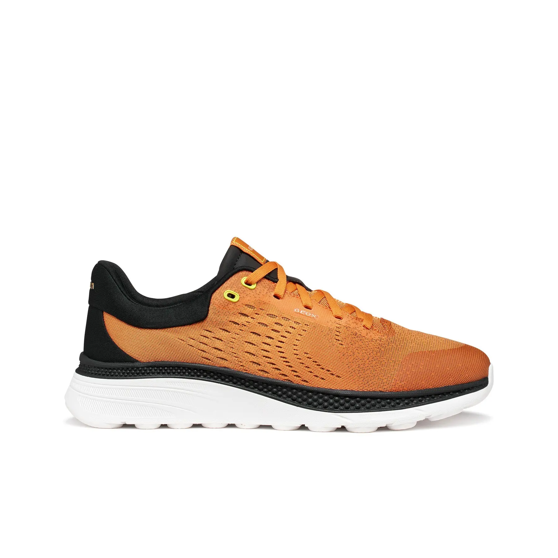 sportisgood1186690