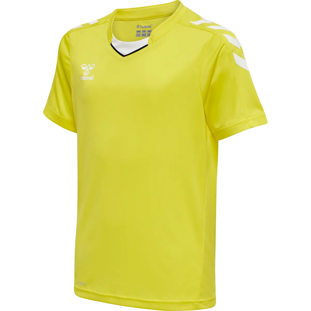sportisgood1543086
