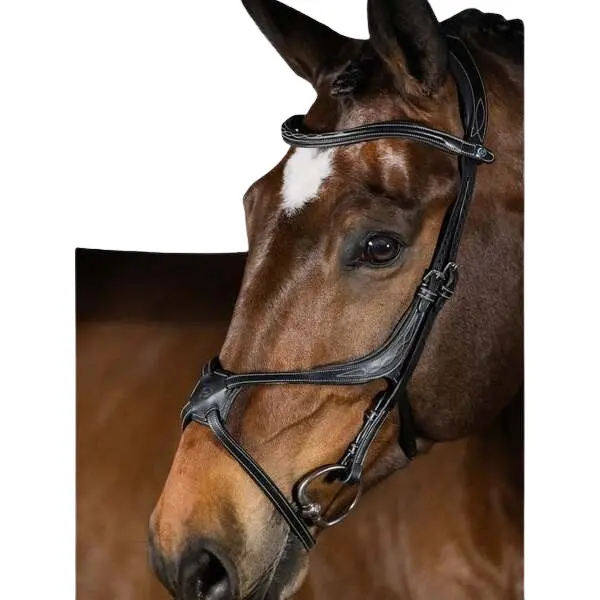 sportisgood1847888