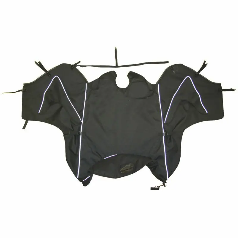 sportisgood370956
