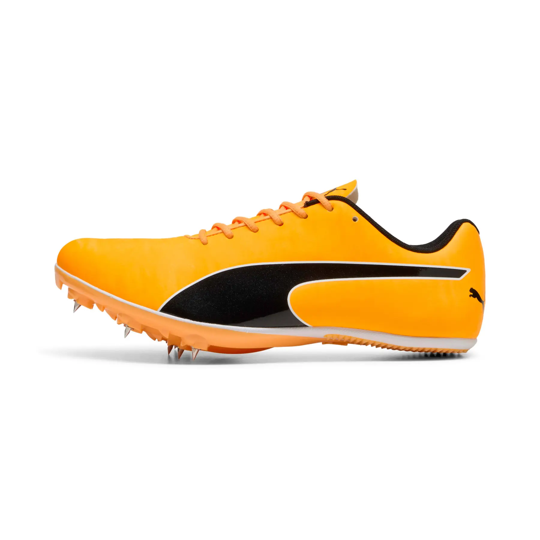 sportisgood395123