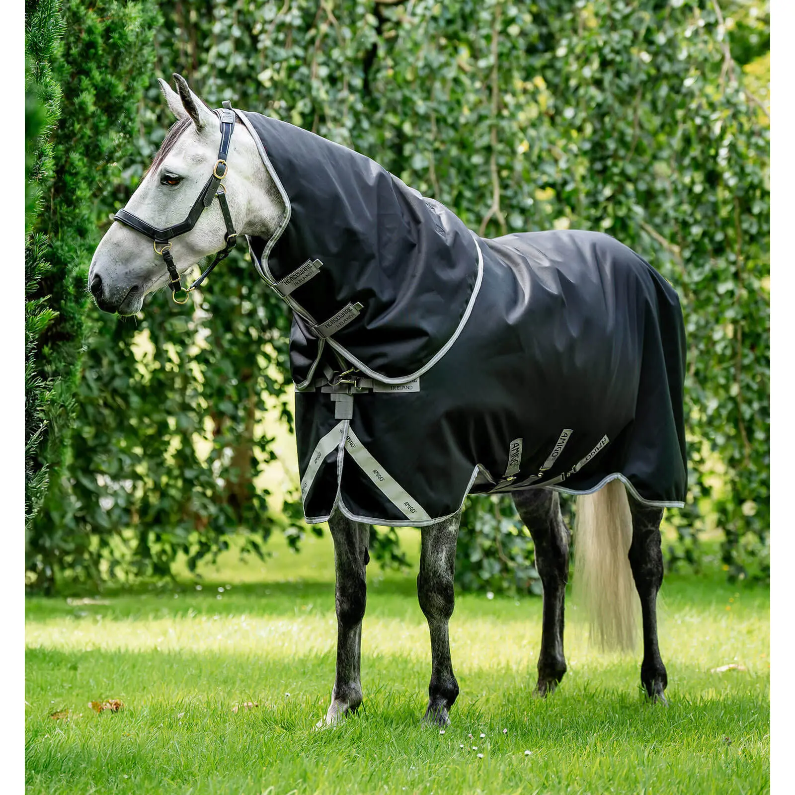 sportisgood430209