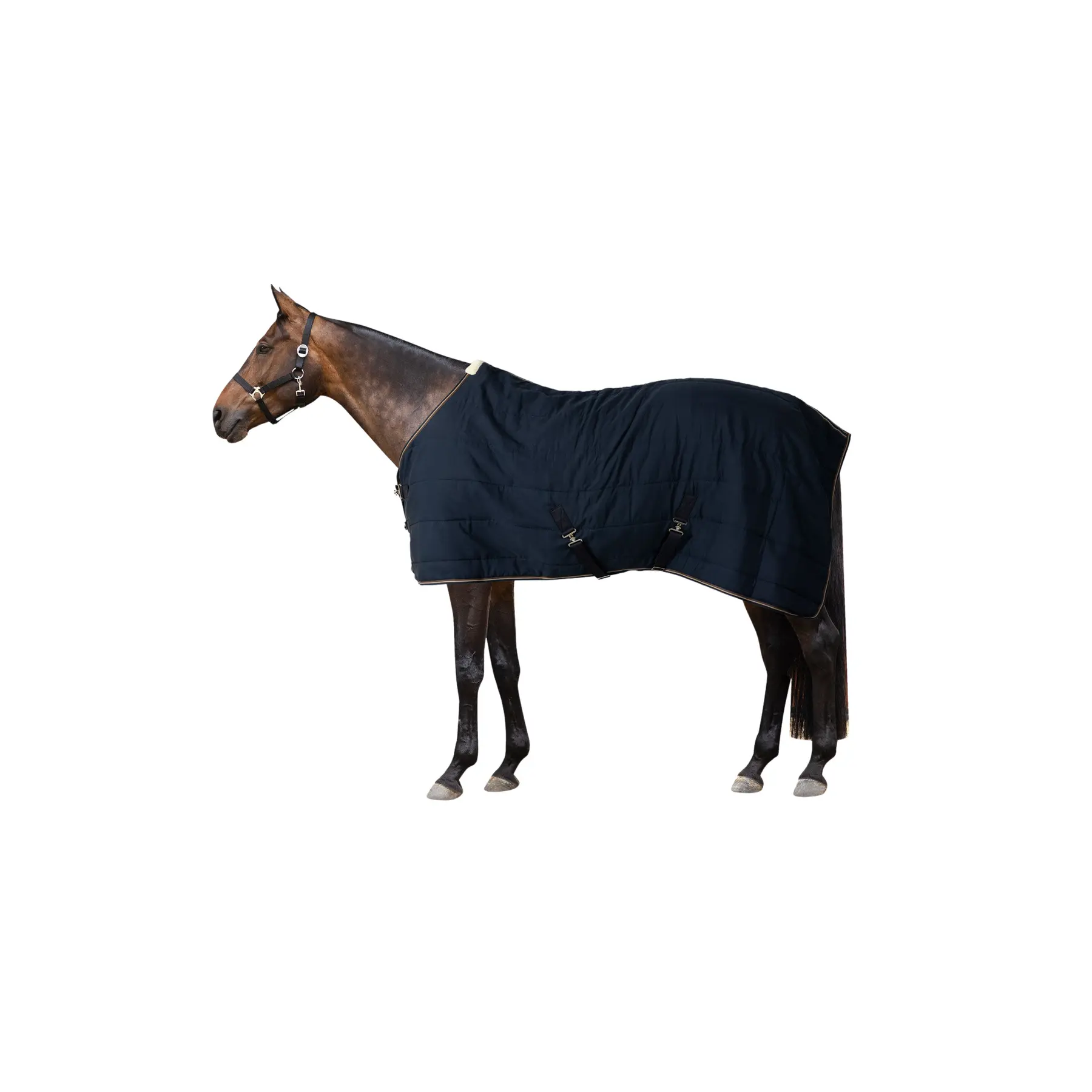 sportisgood440945