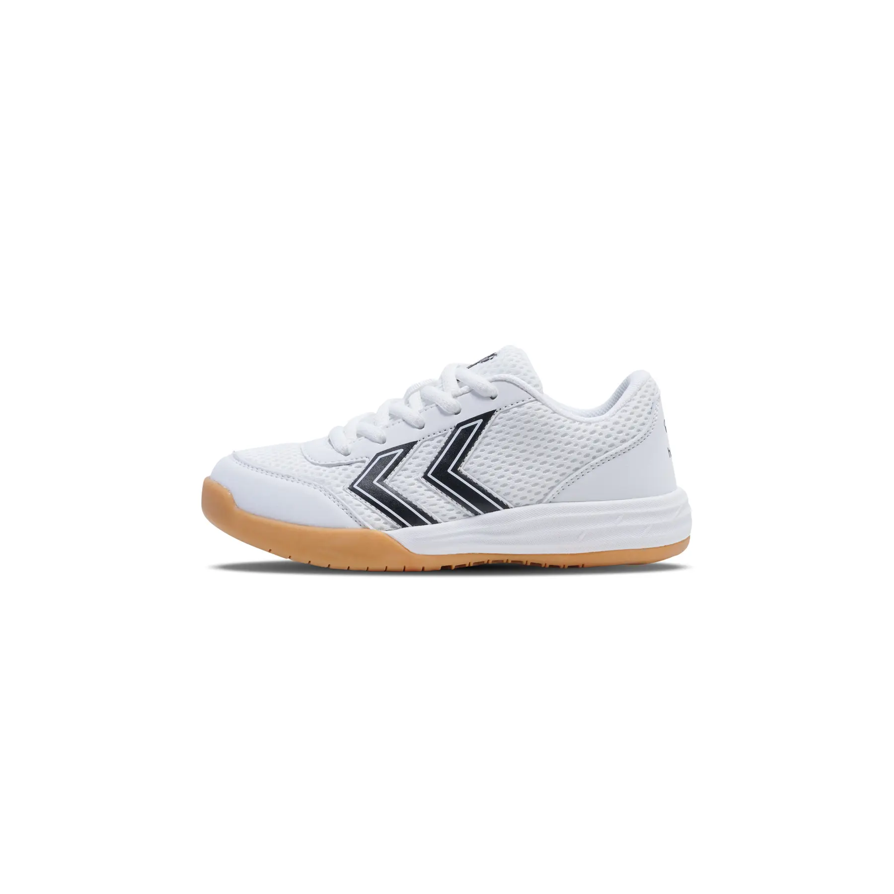 sportisgood527902