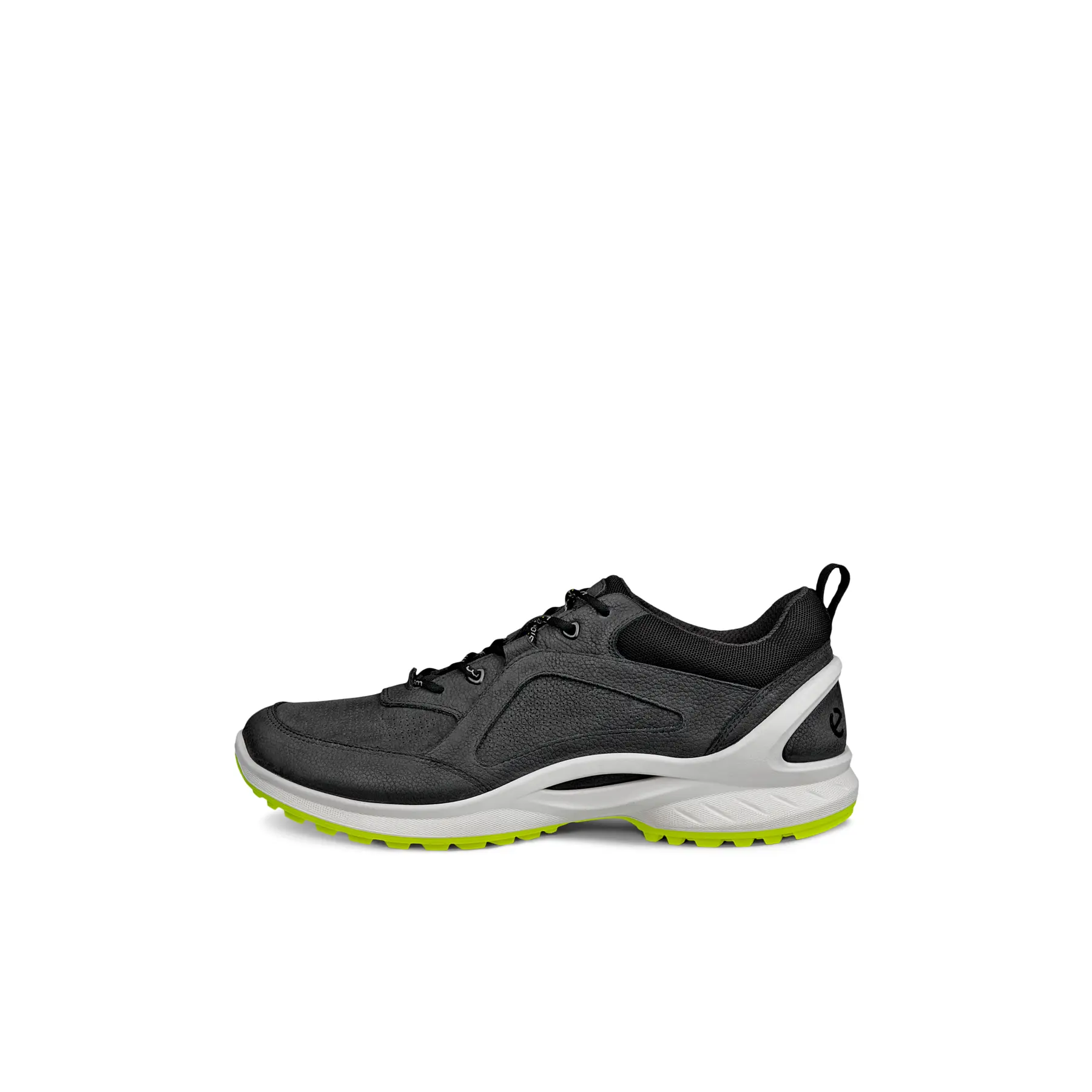 sportisgood544753