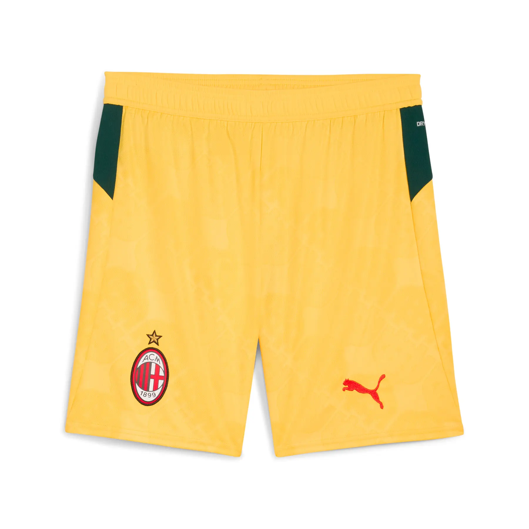 sportisgood595922