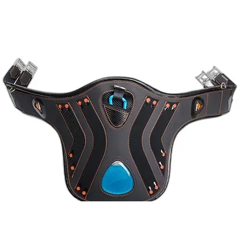 sportisgood701575