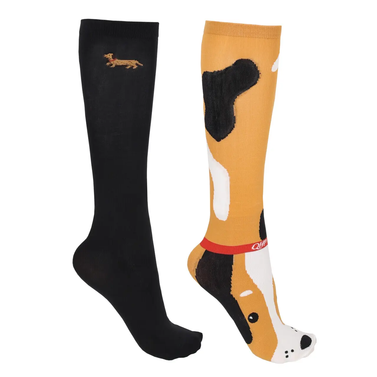 sportisgood849533