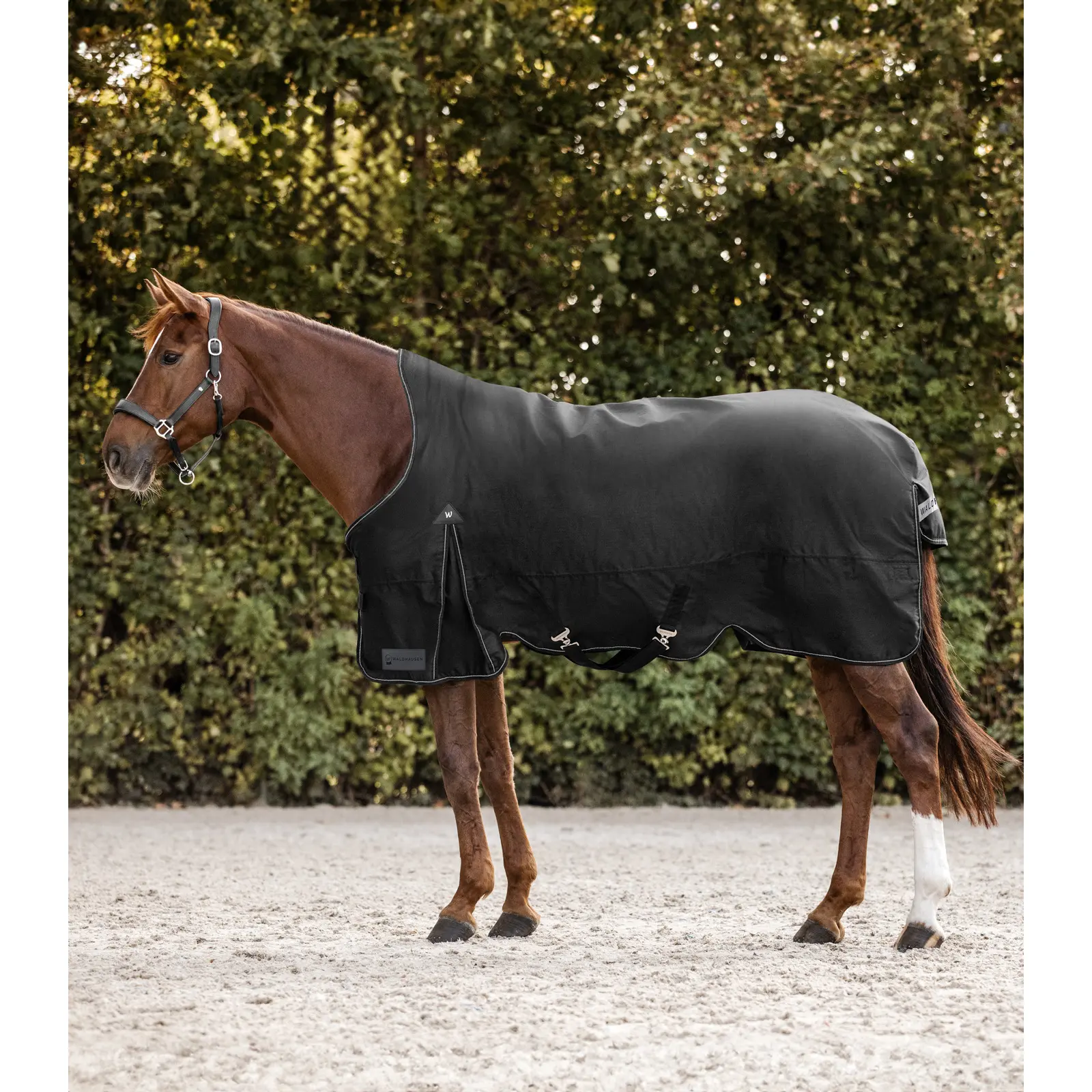 sportisgood915964