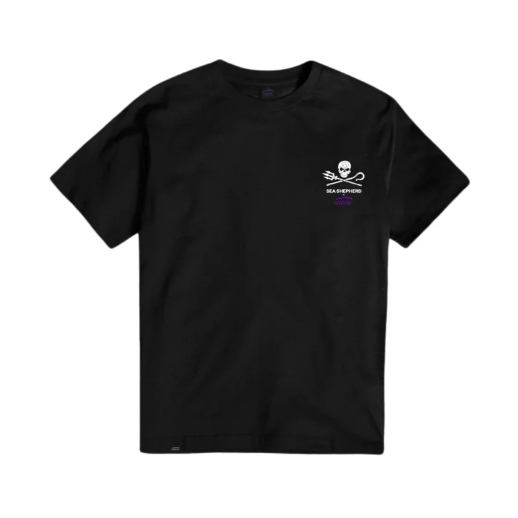 surfdeal659501
