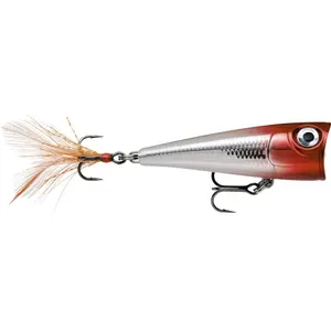 trek-expert-1698321