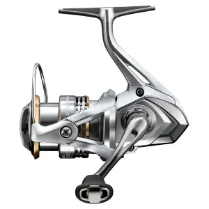 trek-expert438122