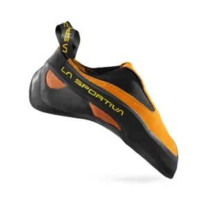 trek-expert469568