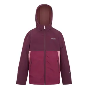 trek-expert607493