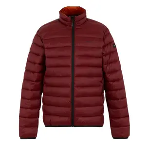 trek-expert698914